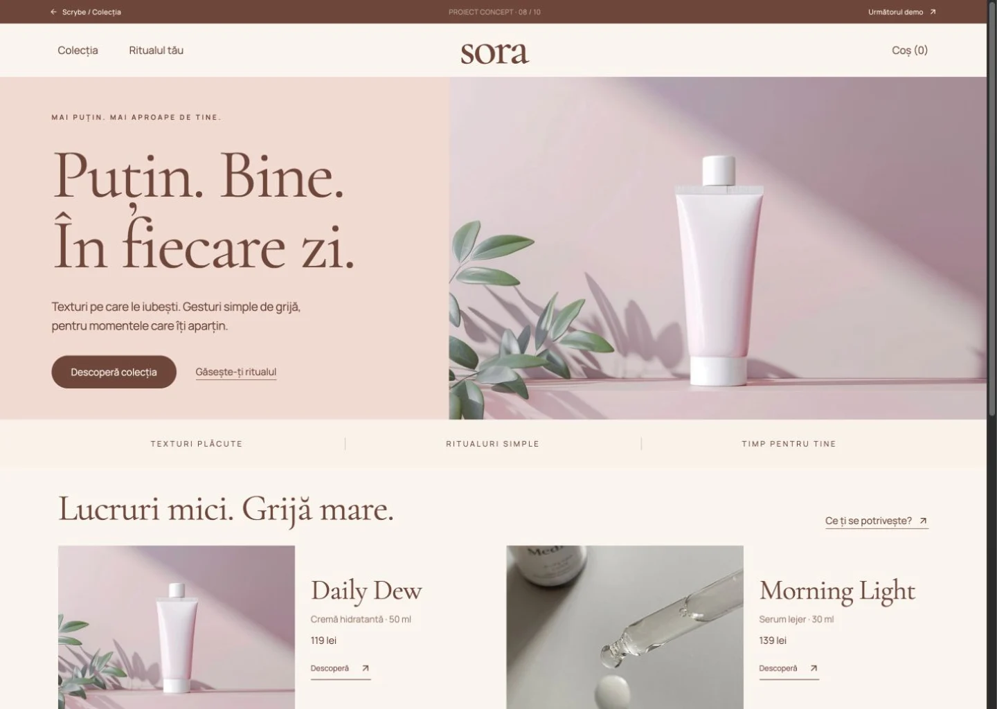 Captură din proiectul sora